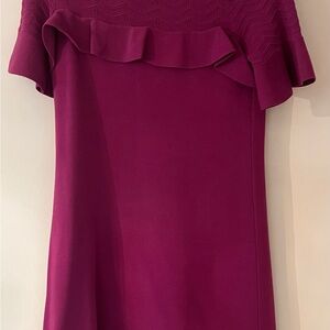 Ann Taylor Fuchsia Textured Knit Dress